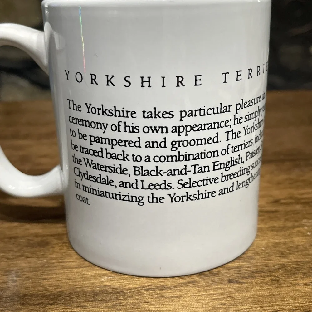 YORKSHIRE TERRIER COFFEE MUG by BOW WOW MEOWS ~ YORKIE with RED BOW READ